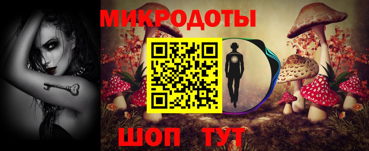Гагарин  Галлюциногенные грибы прущие грибы  Вход с VPN 